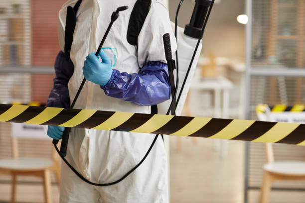 Professional Hoarding Cleanup technician working in Scandinavia, WI